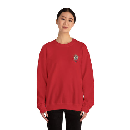 USA Crewneck Sweatshirt